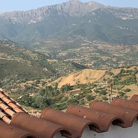 Da Angela Apartman Orgosolo