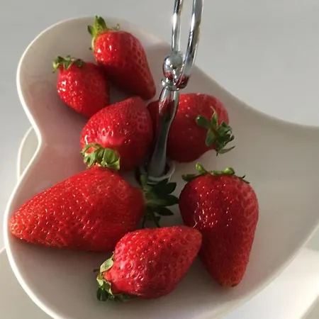 Apartamento Da Angela *